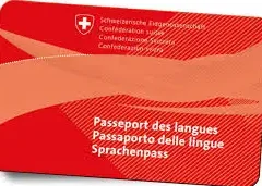 examen Fide e1727729438263